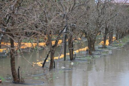 Why Mud Homes Don’t Melt in the Rain (Sometimes They Do) Image